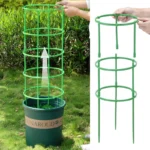 3/6/9/12Sets Plant Support Pile Stand Flowers Plant Arrangement Fixing Rod Plants Stake for Garden Supplies Home Yard Planting - Image 2