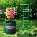 3/6/9/12Sets Plant Support Pile Stand Flowers Plant Arrangement Fixing Rod Plants Stake for Garden Supplies Home Yard Planting - Image 6